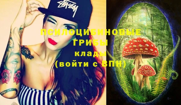 ешки Горнозаводск