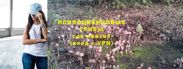тгк Горно-Алтайск