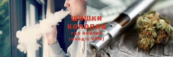 тгк Горно-Алтайск