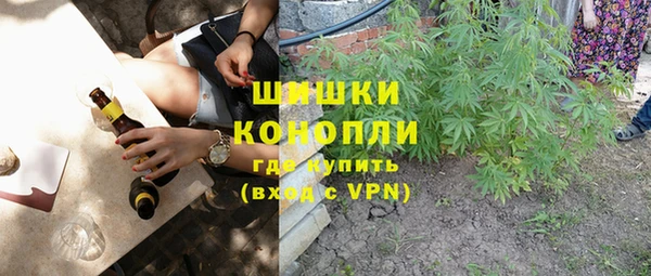 молекула духа Горняк