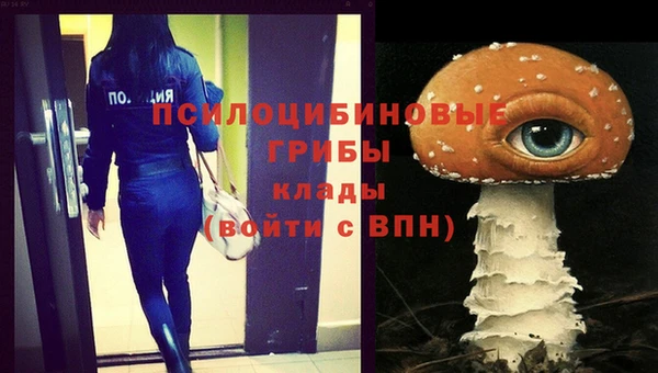 ешки Горнозаводск