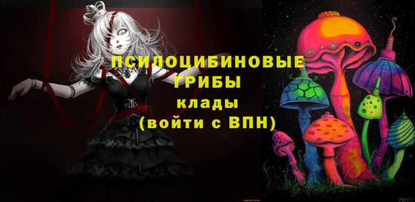 ешки Горнозаводск