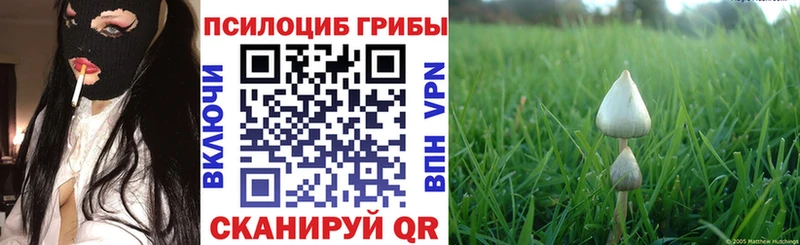 Купить закладки Верхняя Пышма Галлюциногенные грибы прущие грибы